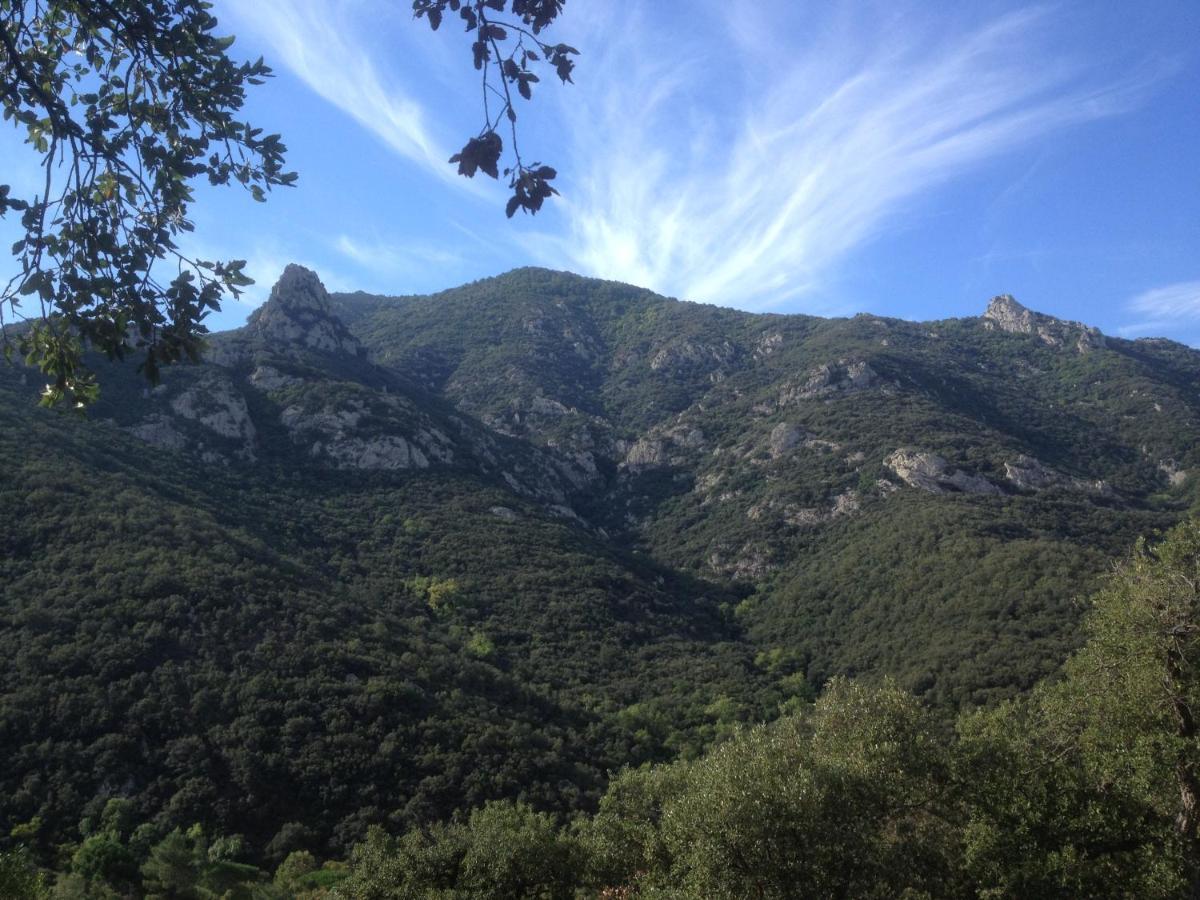 L'Abri La Vall Соред Экстерьер фото