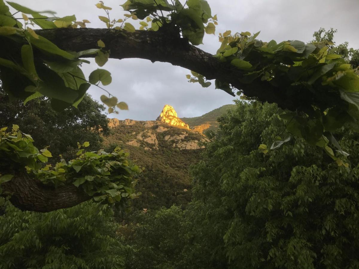 L'Abri La Vall Соред Экстерьер фото